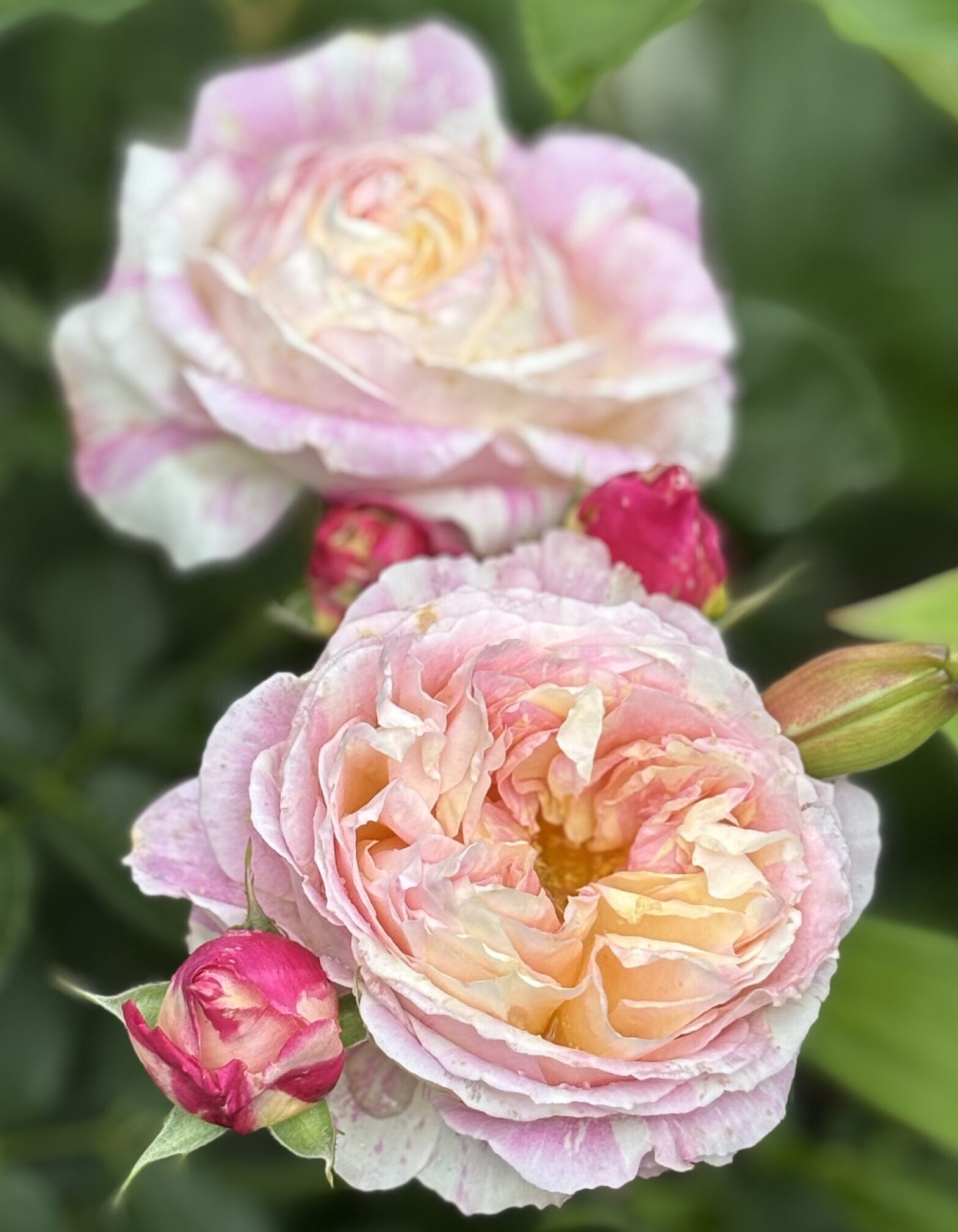 クロード モネ ｜ あとりえティストウのブログ